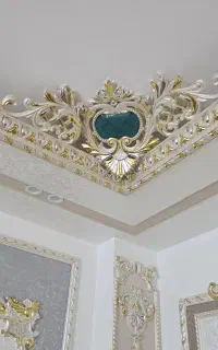 استخدام نیروی کارخانم