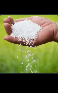 فروش ۱۹ عدد کود سفید کرمانشاه ‌‌‌‌‌‌‌‌‌‌‌‌‌