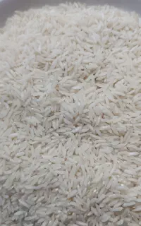 برنج هاشمی درجه یک