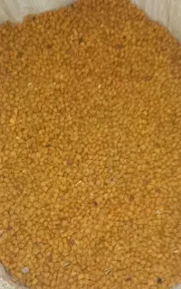 نخود قرمز لپه ای درجه یک