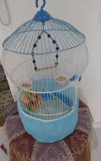 قفس پرنده