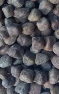روش ماشک ( گرگرو)