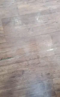 نظافت و رنگ‌آمیزی ساختمان