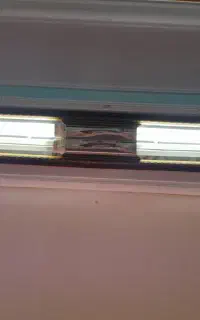 مهتابی