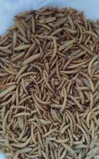 میلورم و لار مخلوطن یک بسته پنچاه گرمی