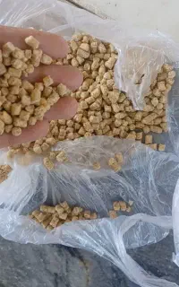 دانه پارس سوپراستارتر درجه ۱ منطقه