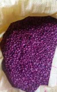 لوبیاقرمزبوجاری‌شده