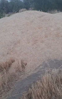فروش ۴ تن کاه جو