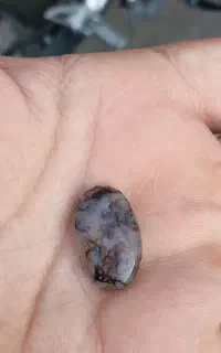 سنگ بسیار زیبا شجر