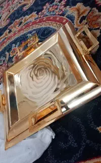 سینیdessini