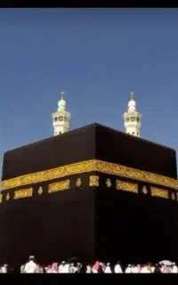 فیش حج