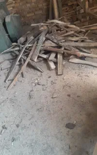 چوب گردو