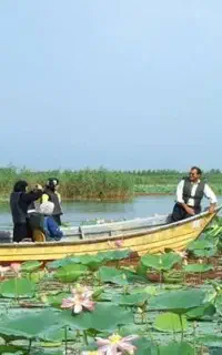 اسکله قایق سواری انزل شمال