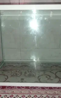 آکواریوم به همراه تعدادی لوازم آکواریوم
