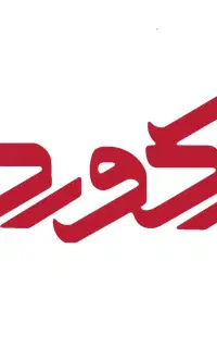 استاد کار صافکاری و نقاشی