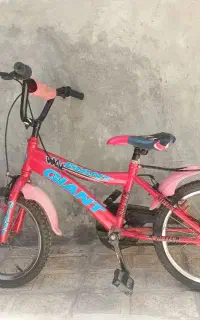دوچرخه