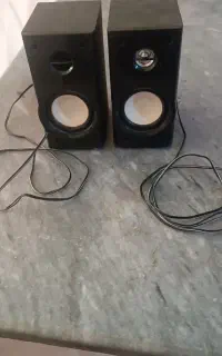 پاند