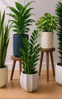 باغبانی تعویض خاک گلدون هرس باغچه در محل شما