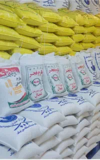 برنج ایرانی باچک صیادی بدون پیش پرداخت باچک۳ ماهه