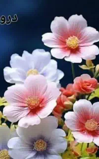 آغاز ثبت نام رایگان آموزشهای طب سنتی