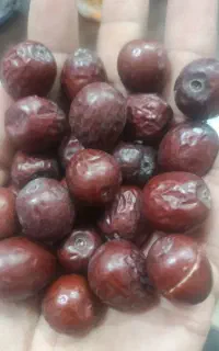 خرید و فروش عناب