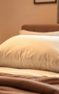 تولید و پخش انواع بالش پر و لایکو و پرز و...