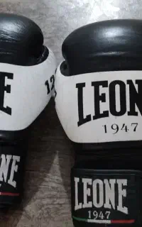 دستکش بوکسleone اصل