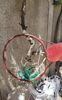 سبد بسکتبال نو