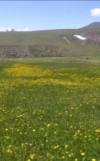 گردشگری