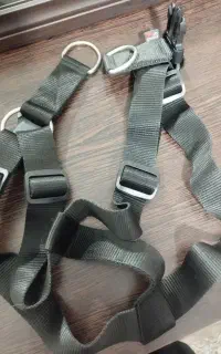 قلاده کمری و قلاده چرمی سگ