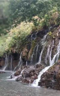 تور گروهی هفت چشمه