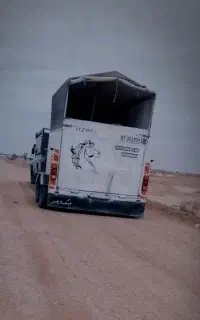 اسب