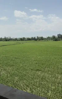 ادمین حرفه ای اینستاگرام