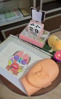 اموزش حرفه ای فیشال و لاین های زیبایی (اقساطی)