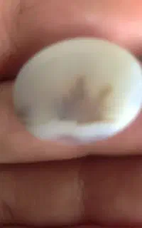 سنگ اصل عقیق