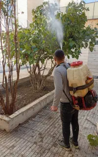باغبانی چمن کاری تیلرزنی درختکاری  هرس کاری گلکاری