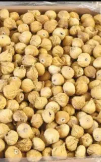 خرید و فروش انجیر
