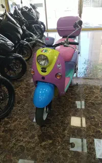 پاکشتی وینو