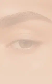 استخدام اصلاحکار