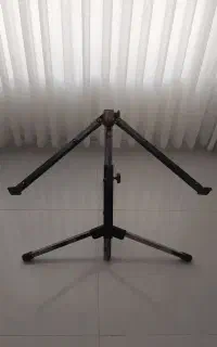 پایه ارگ