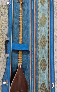 هاردکیس سه تار برند چمان
