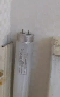 مهتابی قدیمی