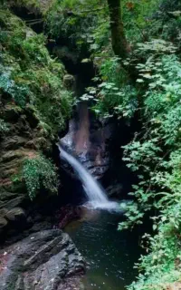 تور یک روزه تنگه ماهی مشو لنگرود