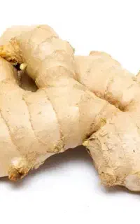 زنجبیل تناژ موجود است (دائمی)