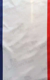 زبان فرانسوی