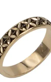 طلا گمشده