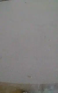 میز کامپیوتر