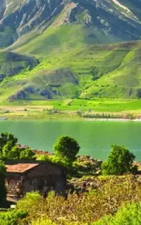 تور وان