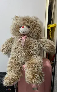 خرس یک متری