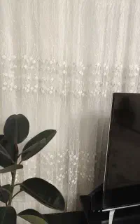 پرده ترک دو عدد با زیر پرده